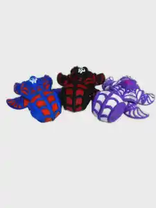 Spider turtle prints